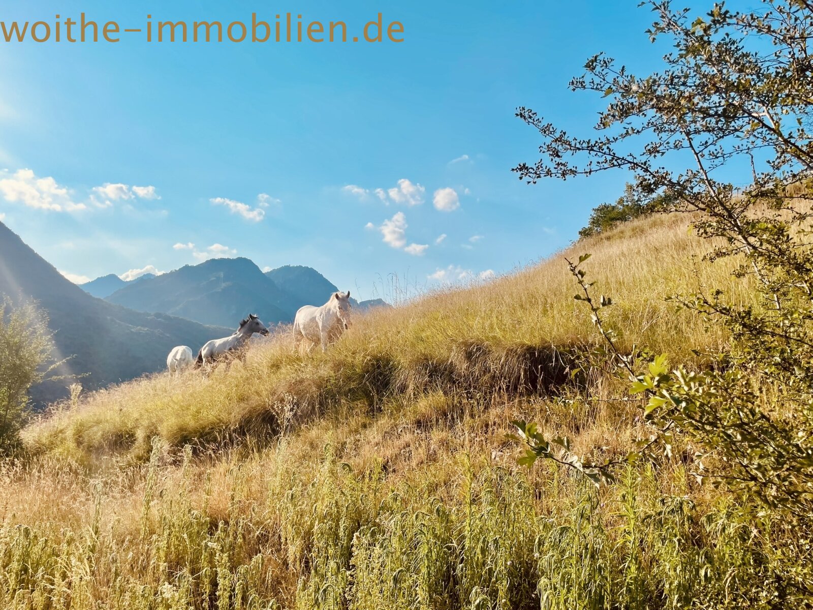 Lieben Sie die Natur - Rustico am Gardasee