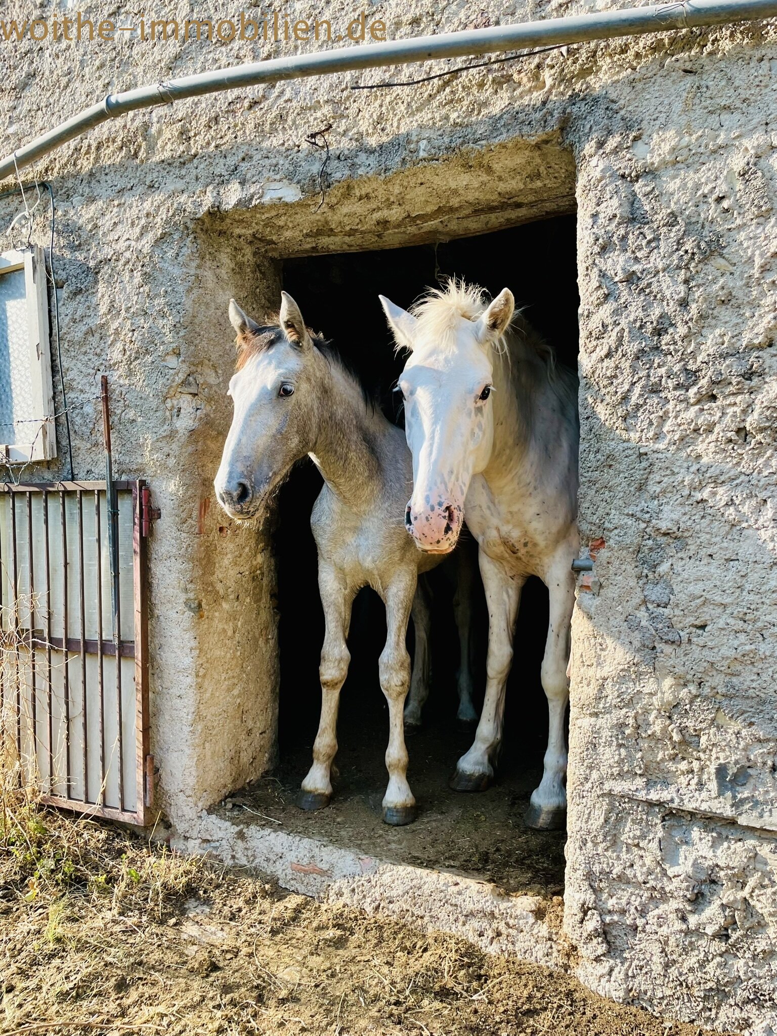 Lieben Sie die Natur - Rustico am Gardasee