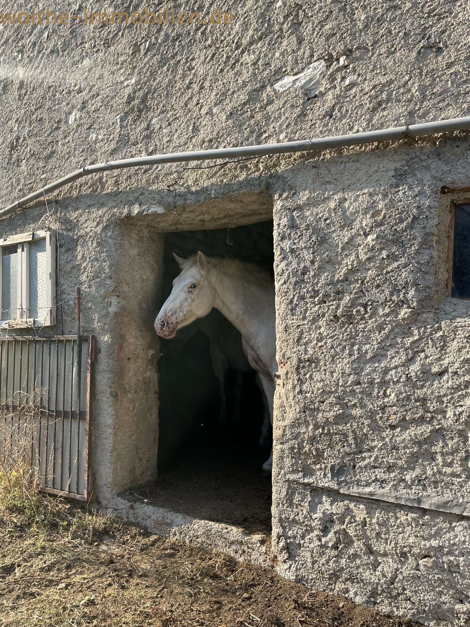 Lieben Sie die Natur - Rustico am Gardasee