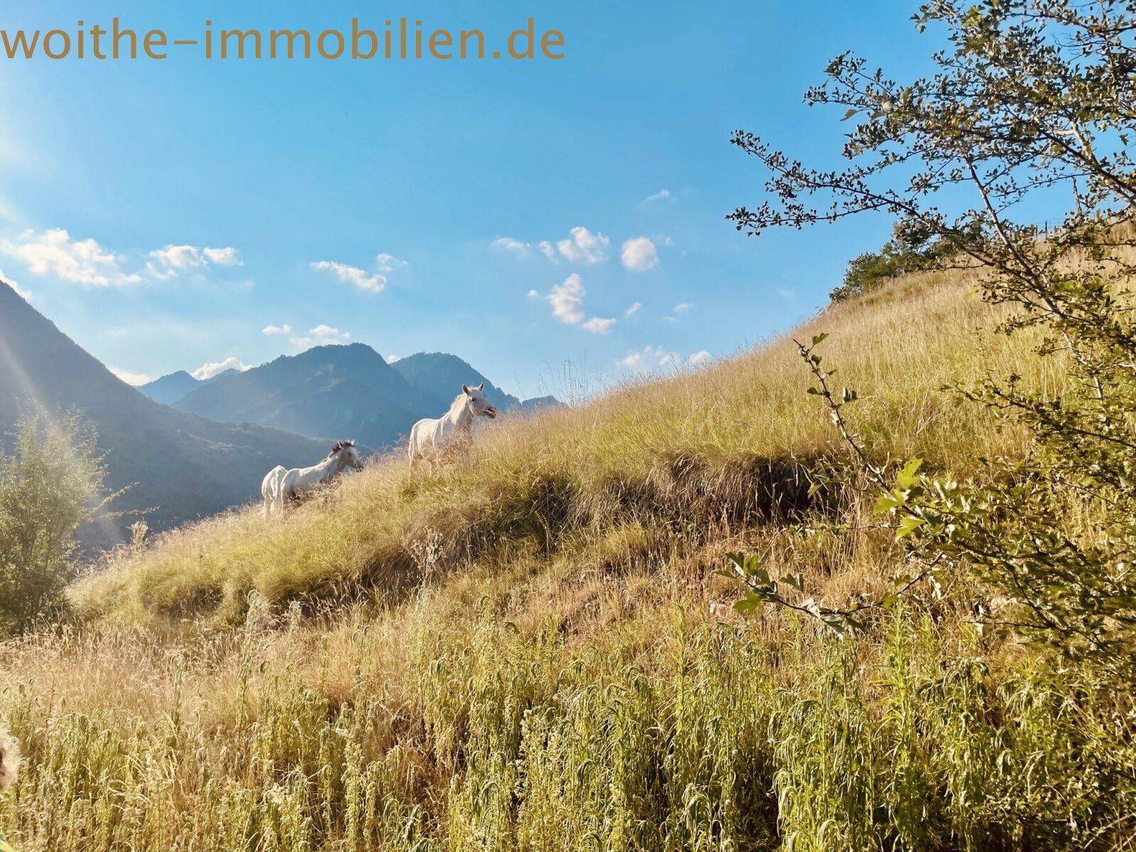 Lieben Sie die Natur - Rustico am Gardasee