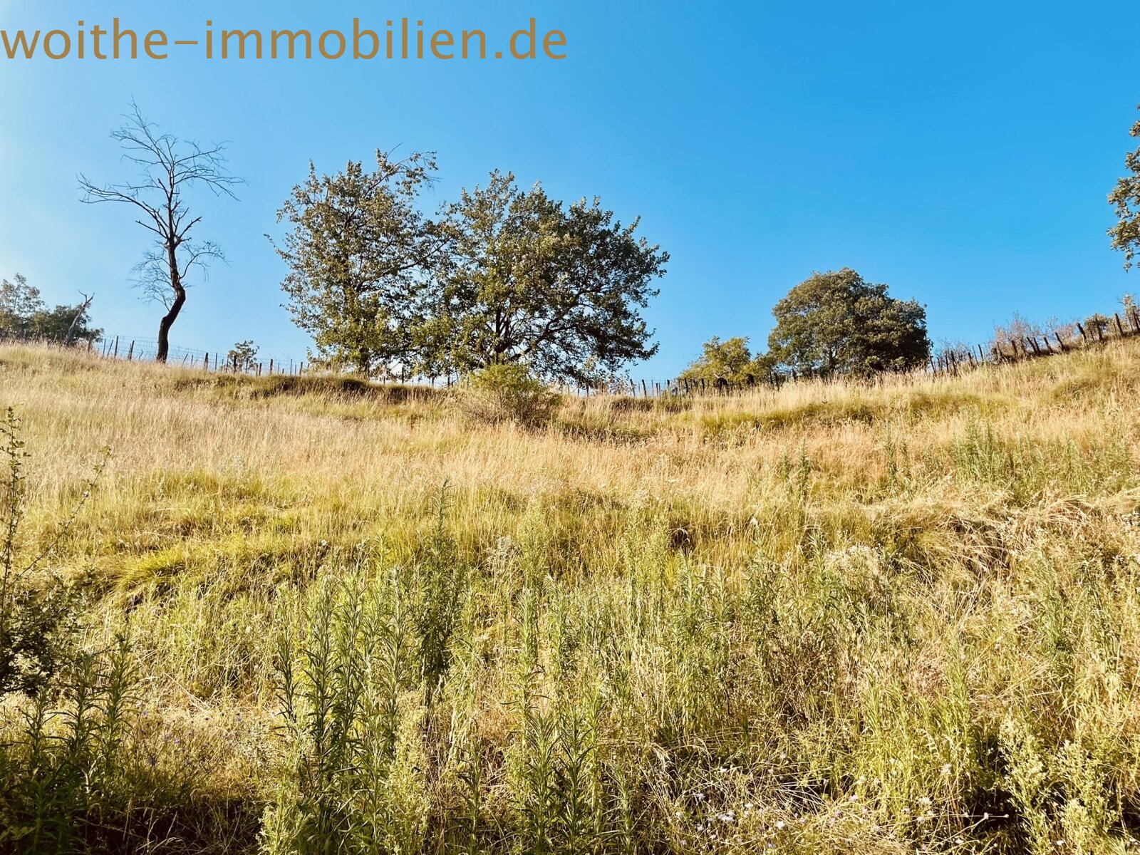 Lieben Sie die Natur - Rustico am Gardasee