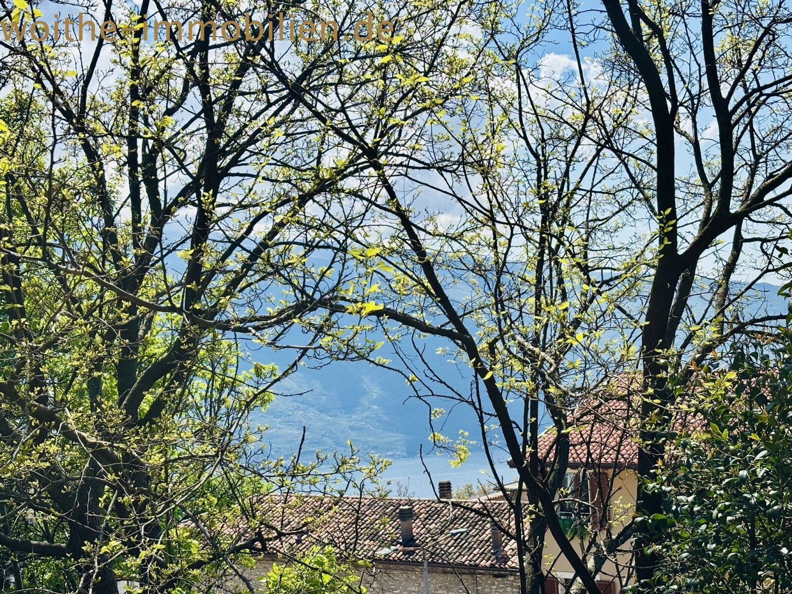 Großzügige Wohnung mit Gartennutzung