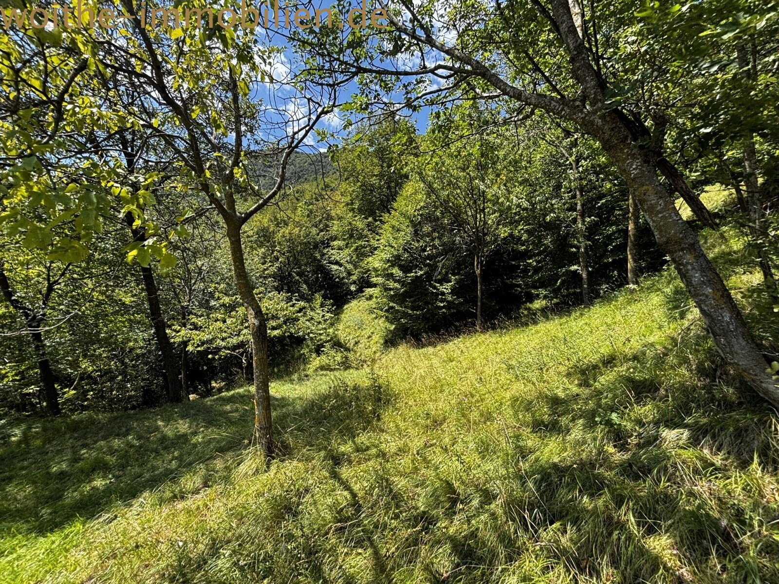 Historisches Rustico in außergewöhnlicher Alleinlage