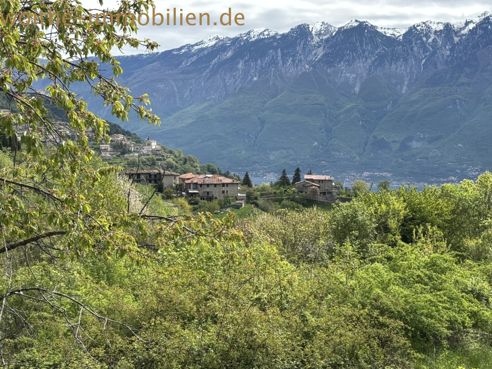 Ausblick