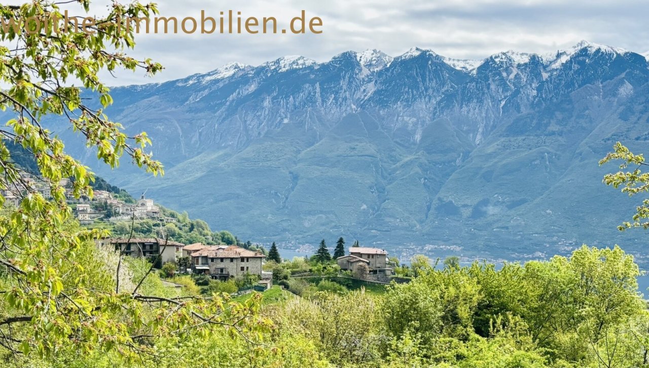 Ausblick