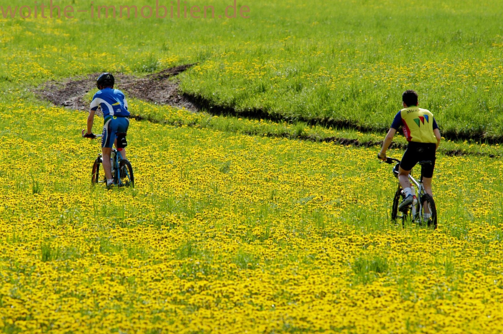 Wandern und Mountainbike Trails Tremosine Nationalpark