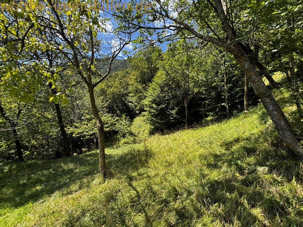 Wooded property with an unobstructed nature conservation area Wooded property with an unobstructed nature conservation area
