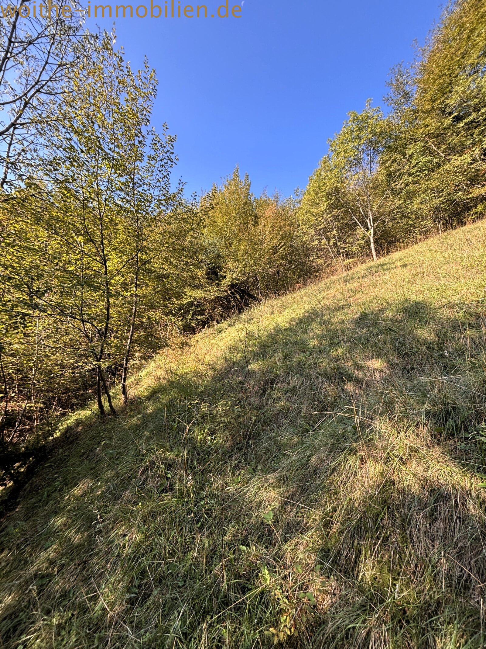 Woodland property with natural slope and undeveloped expansion potential Woodland property with natural slope and undeveloped expansion potential