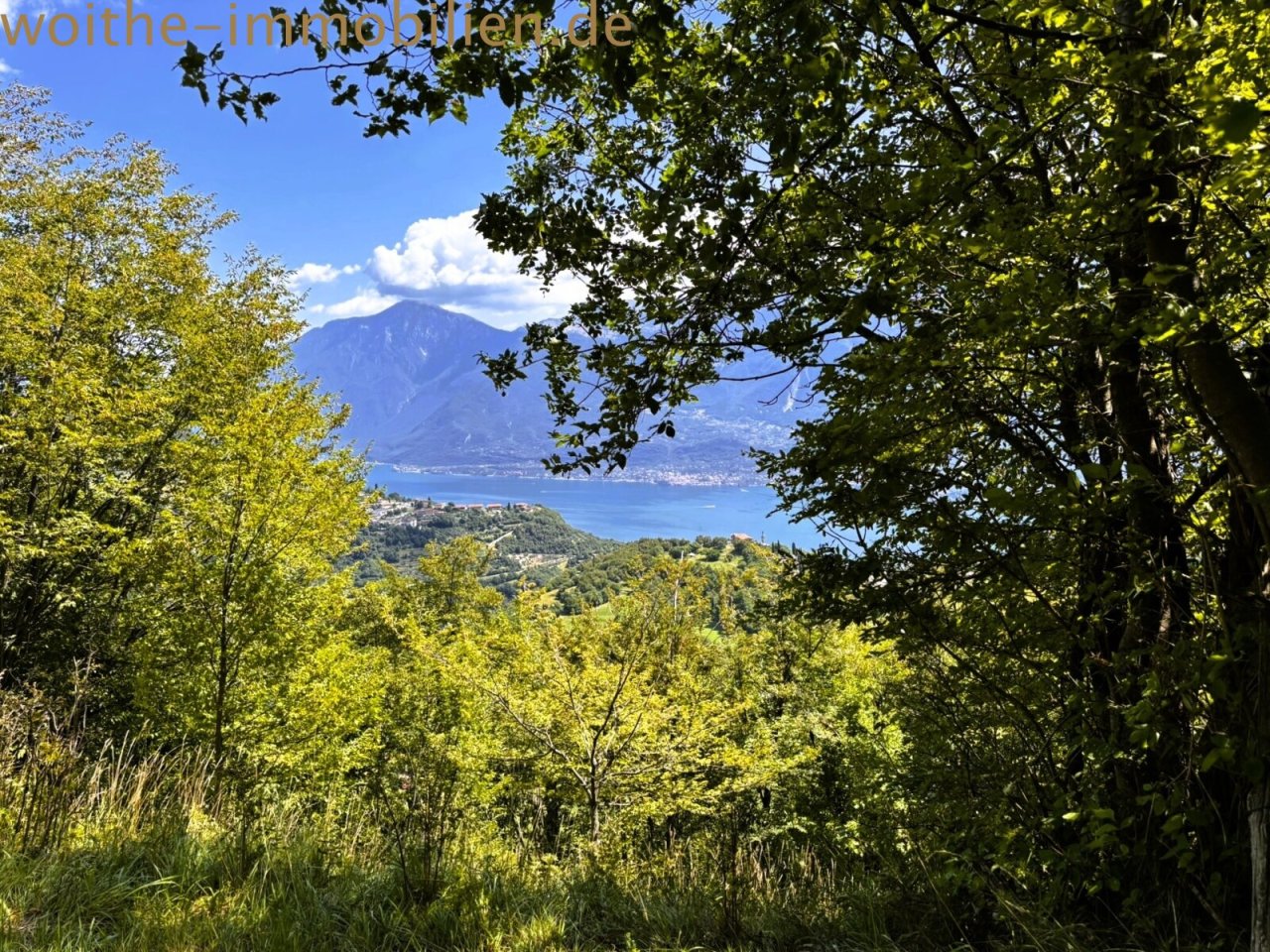 Woodland location with unobstructed distant views of the lake and mountain panorama Woodland location with unobstructed distant views of the lake and mountain panorama