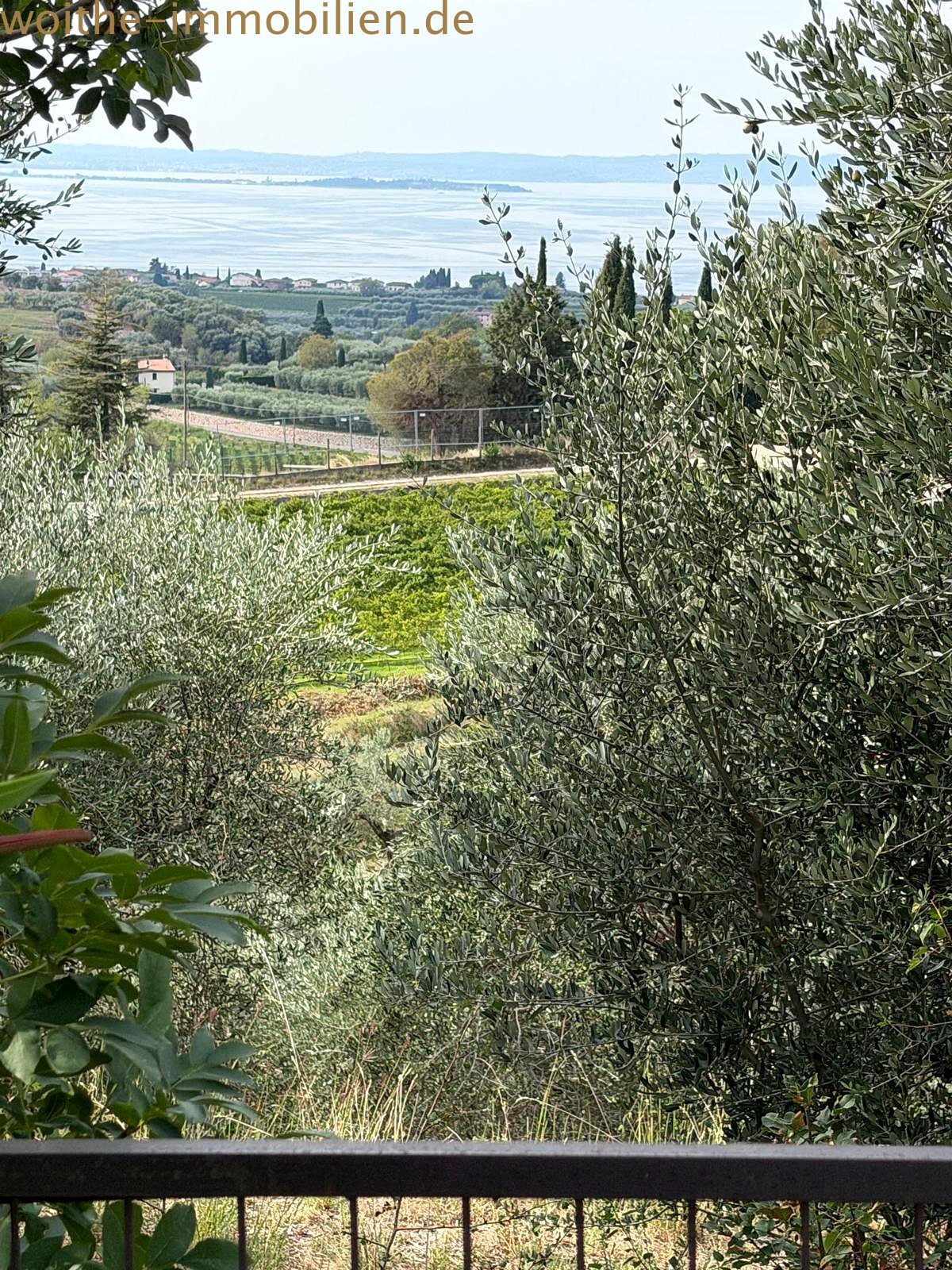 View of the lake and hilly landscape – Natural garden with established olive trees View of the lake and hilly landscape – Natural garden with established olive trees
