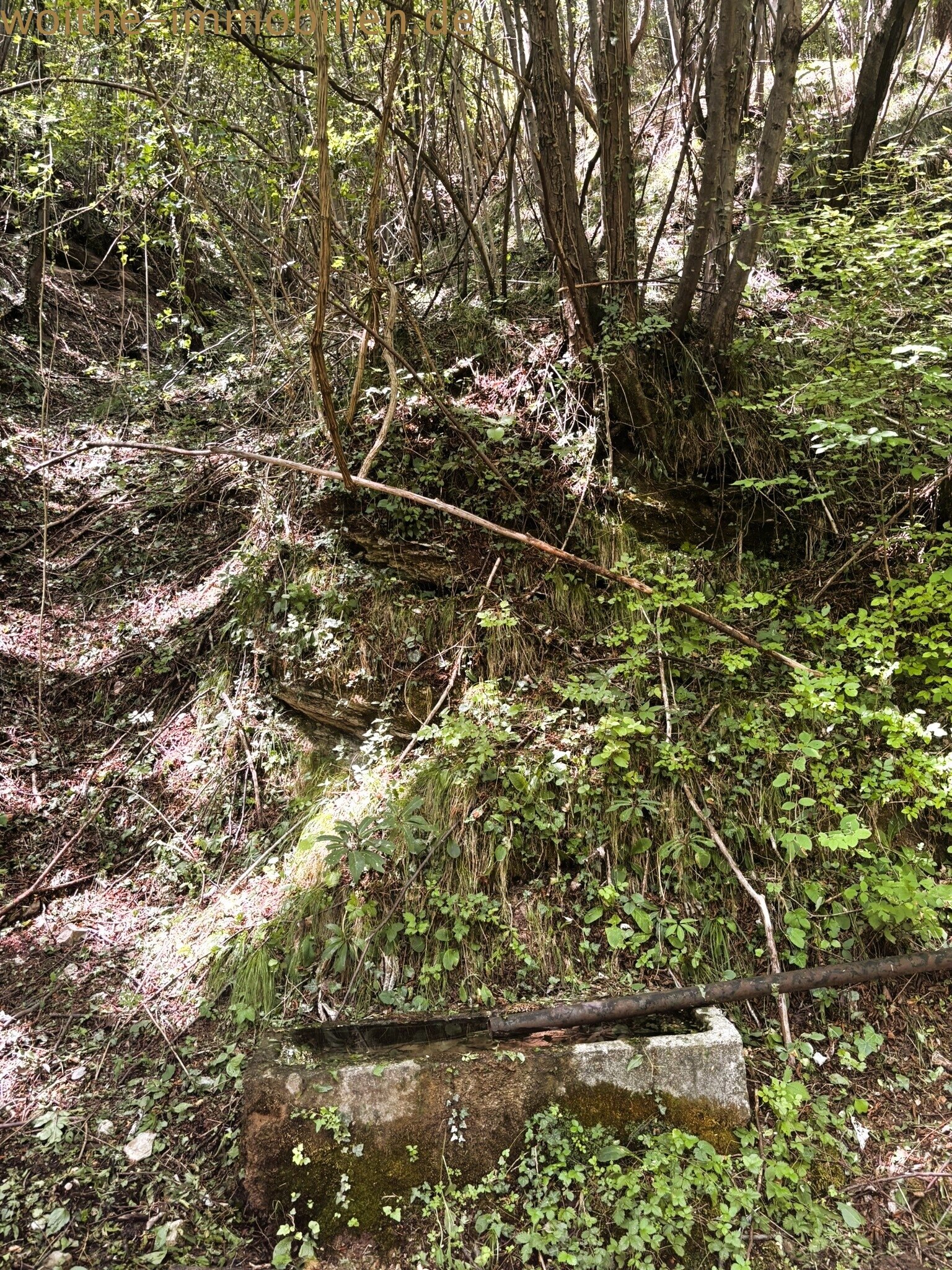 Rustico storico in posizione eccezionale immrso nella natura nel verde