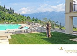 Pool und Liegewiese Pool und Liegewiese
