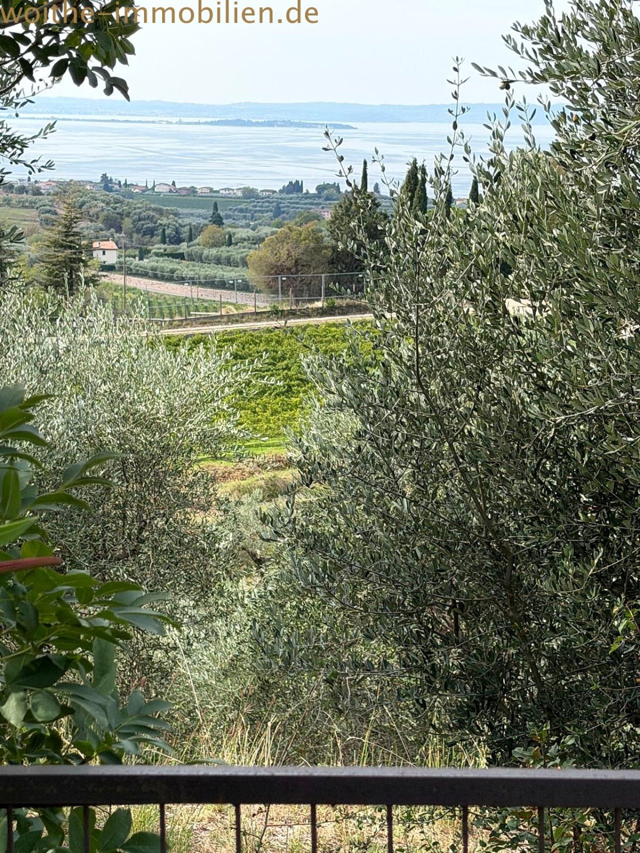 Uno sguardo attraverso il frutteto di ulivi stabilito – panorama sul lago e paesaggio collinare in primo piano Uno sguardo attraverso il frutteto di ulivi stabilito – panorama sul lago e paesaggio collinare in primo piano